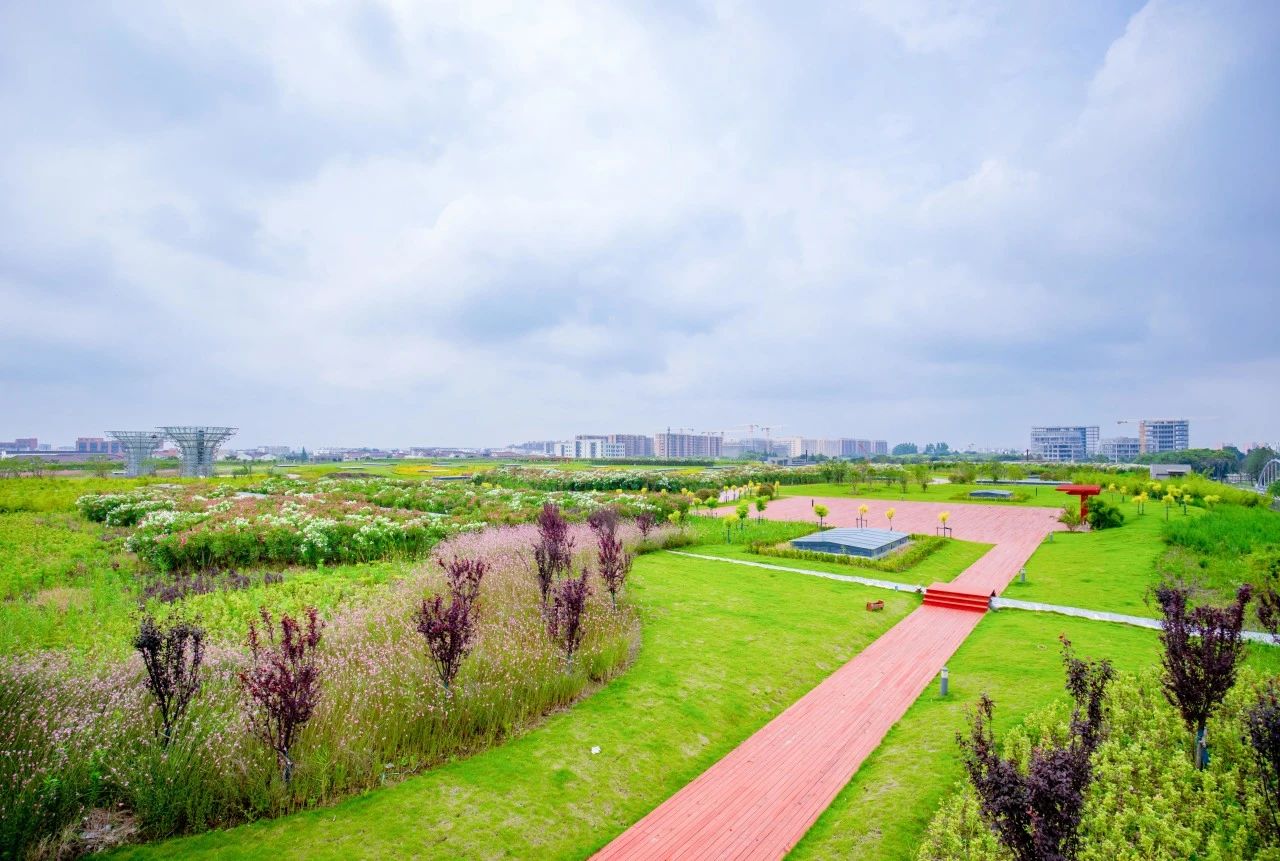 虹橋污水廠 五星零碳.jpg